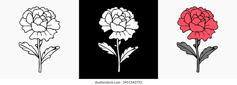 Flower vector on white isolated background. beautiful botanical illustration. Decorative floral silhouette.