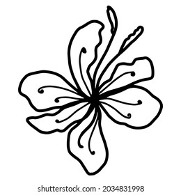 Flower vector one line art, minimalist contour hand drawing