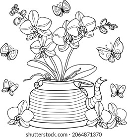 Flower, vector. Orchids in a striped teapot surrounded by butterflies	