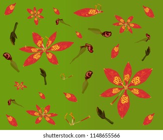 Flower Vector Pattern