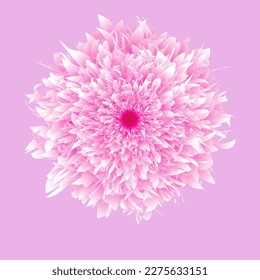 flower vector with pink color