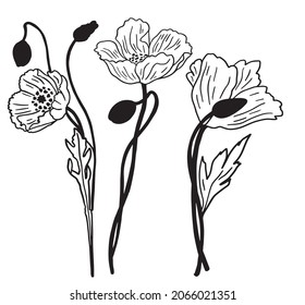 flor vectorial adormidera flores de adormidera arte lineal tejido de elementos florales impresión flor decorativa vectorial naturaleza flor negra y blanca