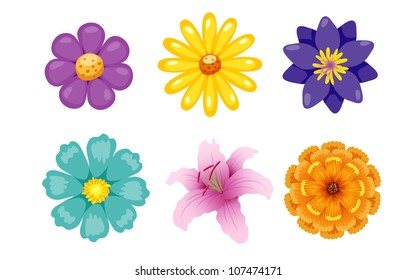 Flower vector set