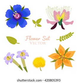 Flower vector set element. Vector collection isolated on white background. Beautiful colorful flowers Illustration.