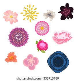 Flower vector set. Floral buds kit. Stylized and realistic style flowers - rose, peony, chrysanthemum, daisy