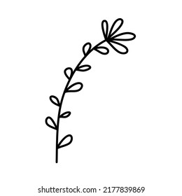 Flower vector simple botanical illustration, line artwork, minimal design elements. elegant and delicate plant doodles for branding, graphic design. spring floral clip art.