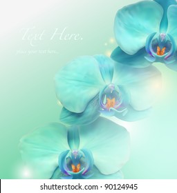 Flower vector spa background