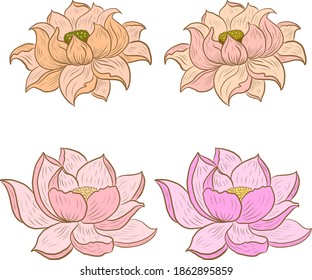 Flower vector for tattoo design.Lotus floral illustration on background.