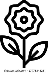 flower vector thin line icon 