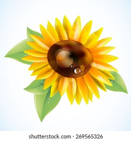 flower vector yellow summer garden sunflower illustration
