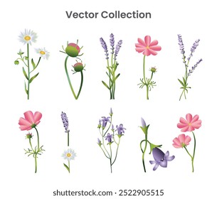 Diseño de Vector de Colección de Vectores de flores