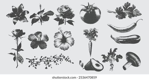 Flower and vegetable,  Large Grain Photocopy Effect, for grunge punk y2k collage design