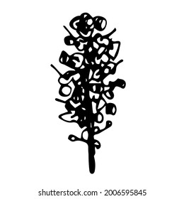 Flower vektor. Doodles, black and white images of flowers. For logos, companies, labels.