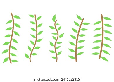 Flower vine icon set. Botanical decoration vector