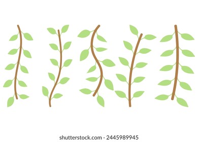Flower vine icon set. Botanical decoration vector