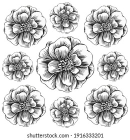 Flower Vintage Pattern. Perfect for design, Illustration, Motif textile.
