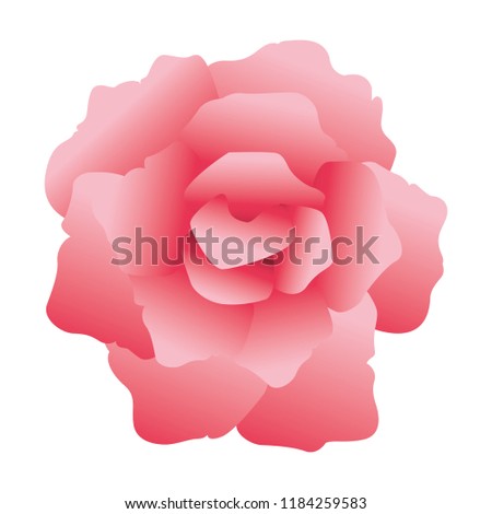 Flower vintage symbol
