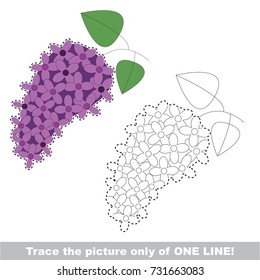 Flower Violet Lilac to be traced only of one line, the tracing educational game to preschool kids with easy game level, the colorful and colorless version.