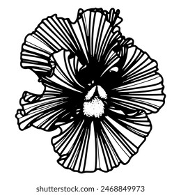Flower violet tricolor sketch. Bud of a garden plant. Blooming nature. Hand drawn vector line illustration.