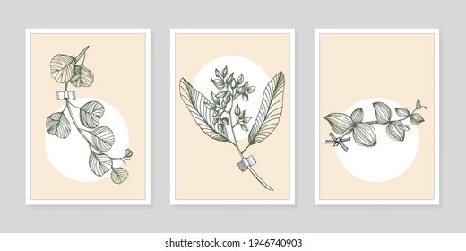 Flower wall art eucalyptus plant. Foliage of nature line art drawing with abstract shape. Modern Abstract Plant Art design for print, cover, wallpaper, illustration with decor wall art.