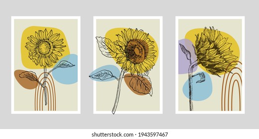 Flower wall art plant of sunflowers set. Foliage of nature line art drawing with abstract shape. Modern Abstract Plant Art design for print, cover, wallpaper, illustration with decor wall art. 