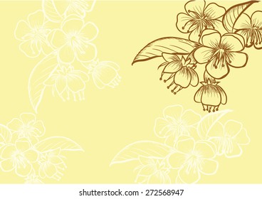 Flower wallpaper