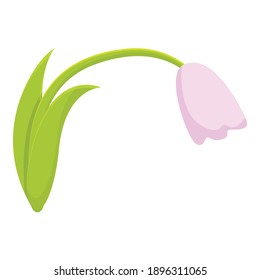 Flower waste icon. Cartoon of flower waste vector icon for web design isolated on white background