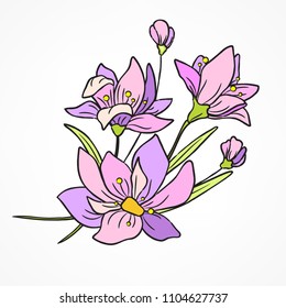 Flower watercolor branch and leaves. Hand drawn on white. Vector illustration.