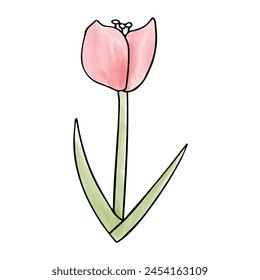 Elemento doodle de la acuarela floral, Ilustración vectorial.