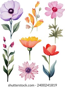 Flower watercolor illustration collection set