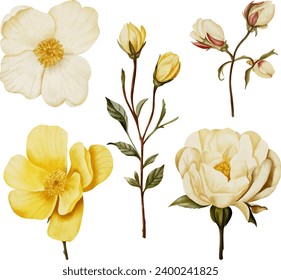 Flower watercolor illustration collection set