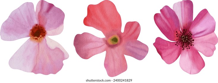 Flower watercolor illustration collection set