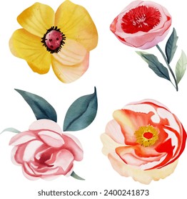 Flower watercolor illustration collection set