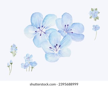 Flower watercolor painting, Pressed flower and poppy flowers vector arts background for greeting card.