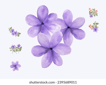 Flower watercolor painting, Pressed flower and poppy flowers vector arts background for greeting card.