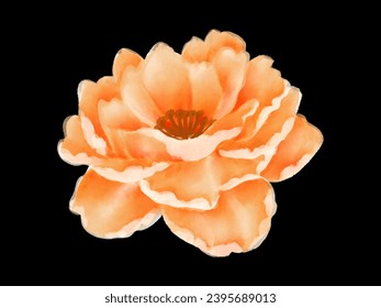 Flower watercolor painting, Pressed flower and poppy flowers vector arts background for greeting card.
