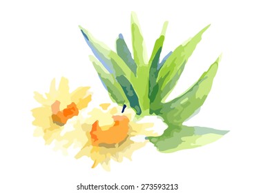 flower watercolor painting vector