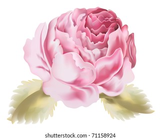 Flower watercolors painted