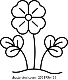 A flower with a white and black center