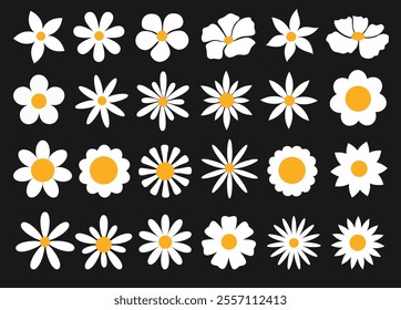 Flower white clipart drawing set. White and yellow spring flowers collection like daisy, chamomile, gerbera, sunflower, daffodil, crocus and aster clip art icon in black background. Vector 