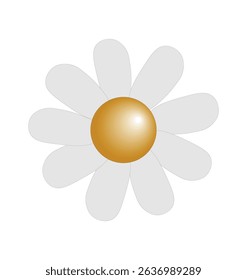 flower white daisy hand drawing