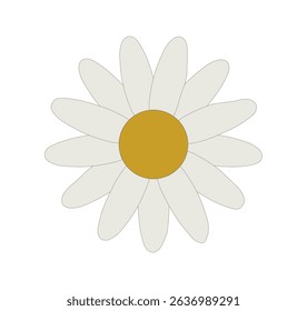 flower white daisy hand drawing