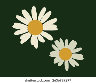 flower white daisy hand drawing