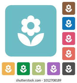 Flower white flat icons on color rounded square backgrounds