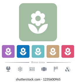 Flower white flat icons on color rounded square backgrounds. 6 bonus icons included