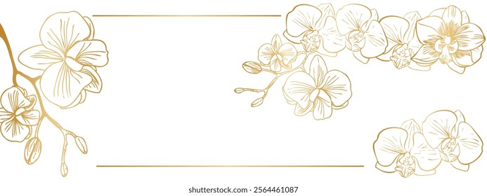 flower is a white orchid and a golden gradient on a white background 