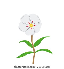 a flower with white petals and a brown stem