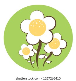 Flower white yellow icon vector illustrator design isolated on green background.