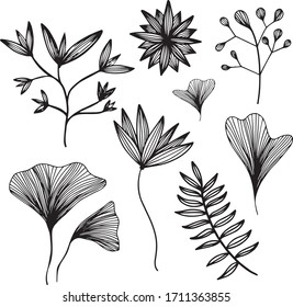 Flower wild black leaf sketch