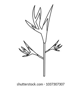flower wild icon image 